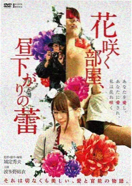 欧美影视动态